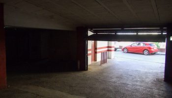 DSCF6454