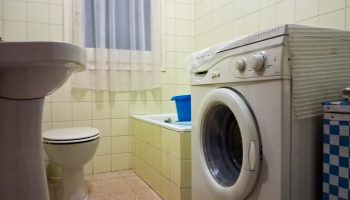 20260309_114947 20260309_114947