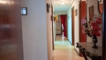 20260309_115459 20260309_115459